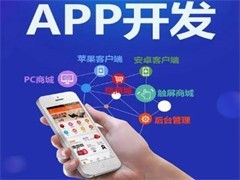 武漢系統軟件開發