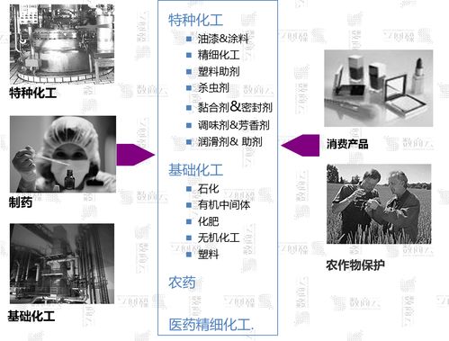 b2b電商化工軟件開發解決方案